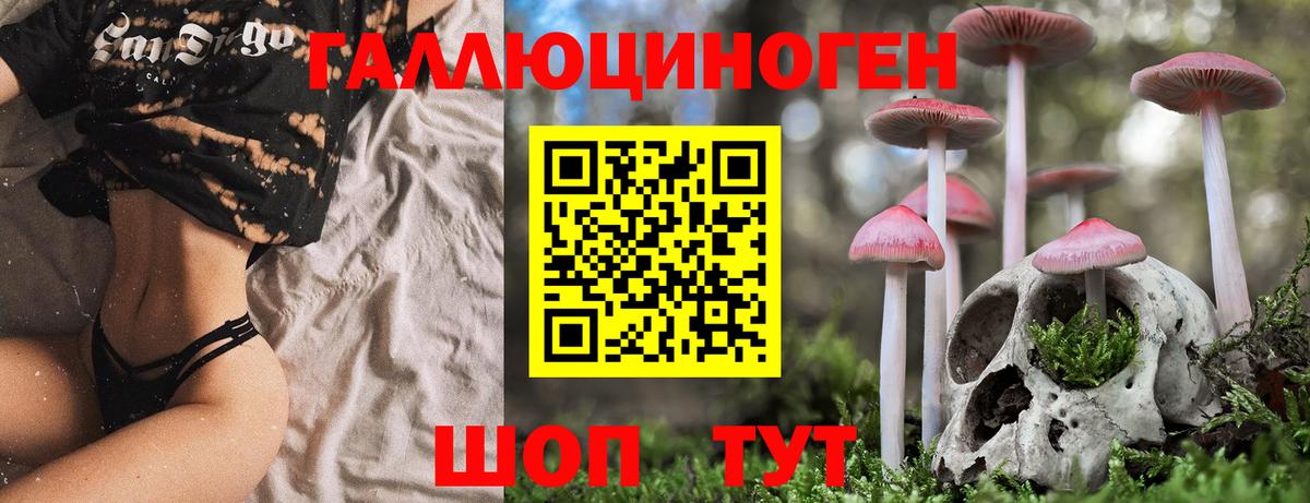 Галлюциногенные грибы MAGIC MUSHROOMS Вязники